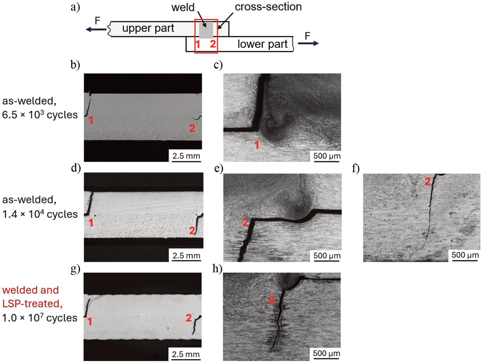 a) Schematic representation of the cross section of the overlap joint with the weld and positions 1 and 2 indicating the two crack origins in the cross section (marked with the red box). b) Cross-section of the as-welded specimen tested at 3.5 kN and subjected to 6.5 × 103 cycles with cracks starting at positions 1 and 2, and c) the magnification of the crack at position 1. d) Cross-section of the as-welded specimen tested at 3.5 kN and subjected to 1.4 × 104 cycles with cracks starting at positions 1 and 2, and e) the magnification of the crack at position 2 located near the interface between the upper and lower parts and f) the magnification of the position 2 near the outer surface of the lower part (crack tip). g) Cross section of the welded and LSP-treated specimen on both sides tested at 3.5 kN and subjected to 1.0 × 107 cycles with cracks starting at positions 1 and 2, and h) the magnification of the crack at position 2.
