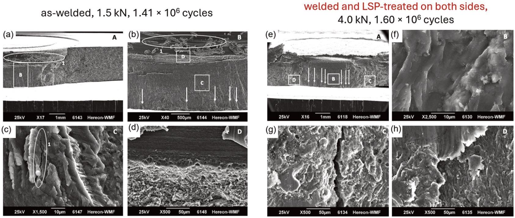 Fracture surfaces of a)-d) as-welded specimen tested at 1.5 kN and subjected to 1.41 × 106 loading cycles and e)-h) welded and LSP-treated specimen on both sides tested at 4.0 kN and subjected to 1.60 × 106 loading cycles.