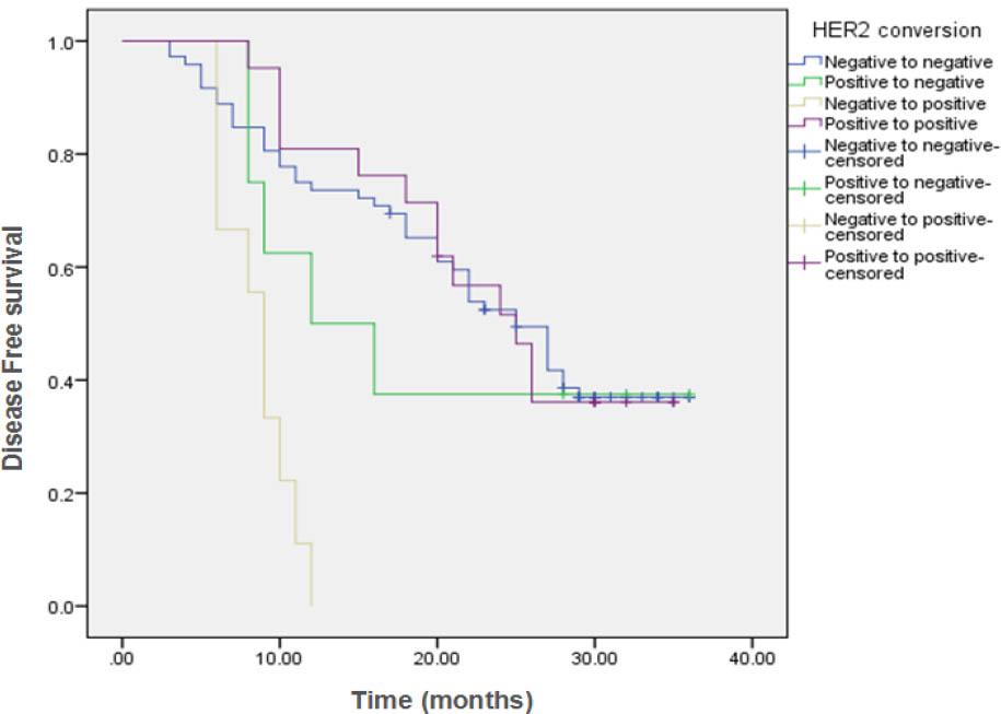 Kaplan Meier curve shows comparison of Disease Free Survival (DFS) in HER2 conversion group.
