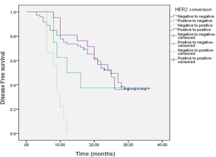 Kaplan Meier curve shows comparison of Overall Survival (OS) in HER2 conversion group.
