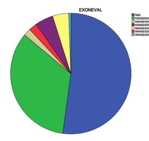 Distribution of KRAS and NRAS mutations by exon in all 510 included patients.