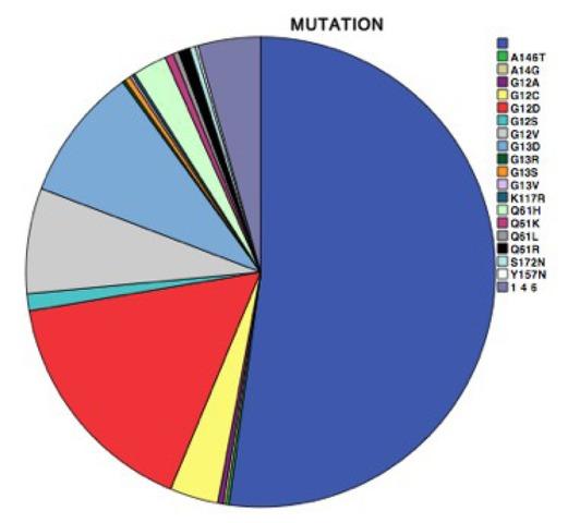 Distribution of KRAS and NRAS mutations by specific mutation in all 510 included patients.