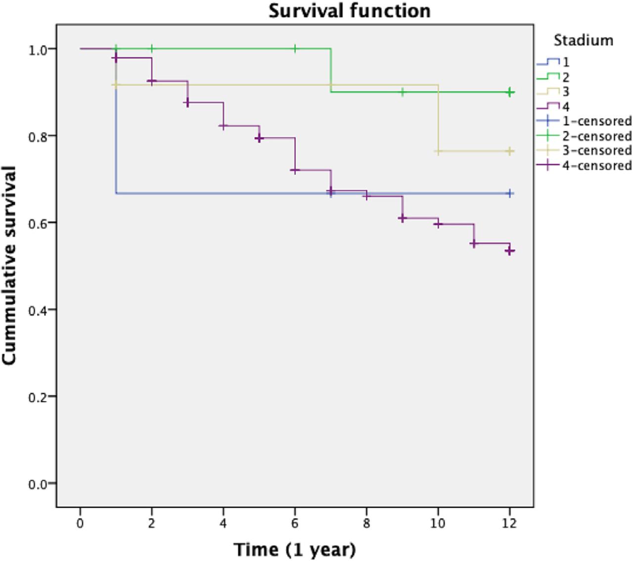 One-year survival based on clinical staging.