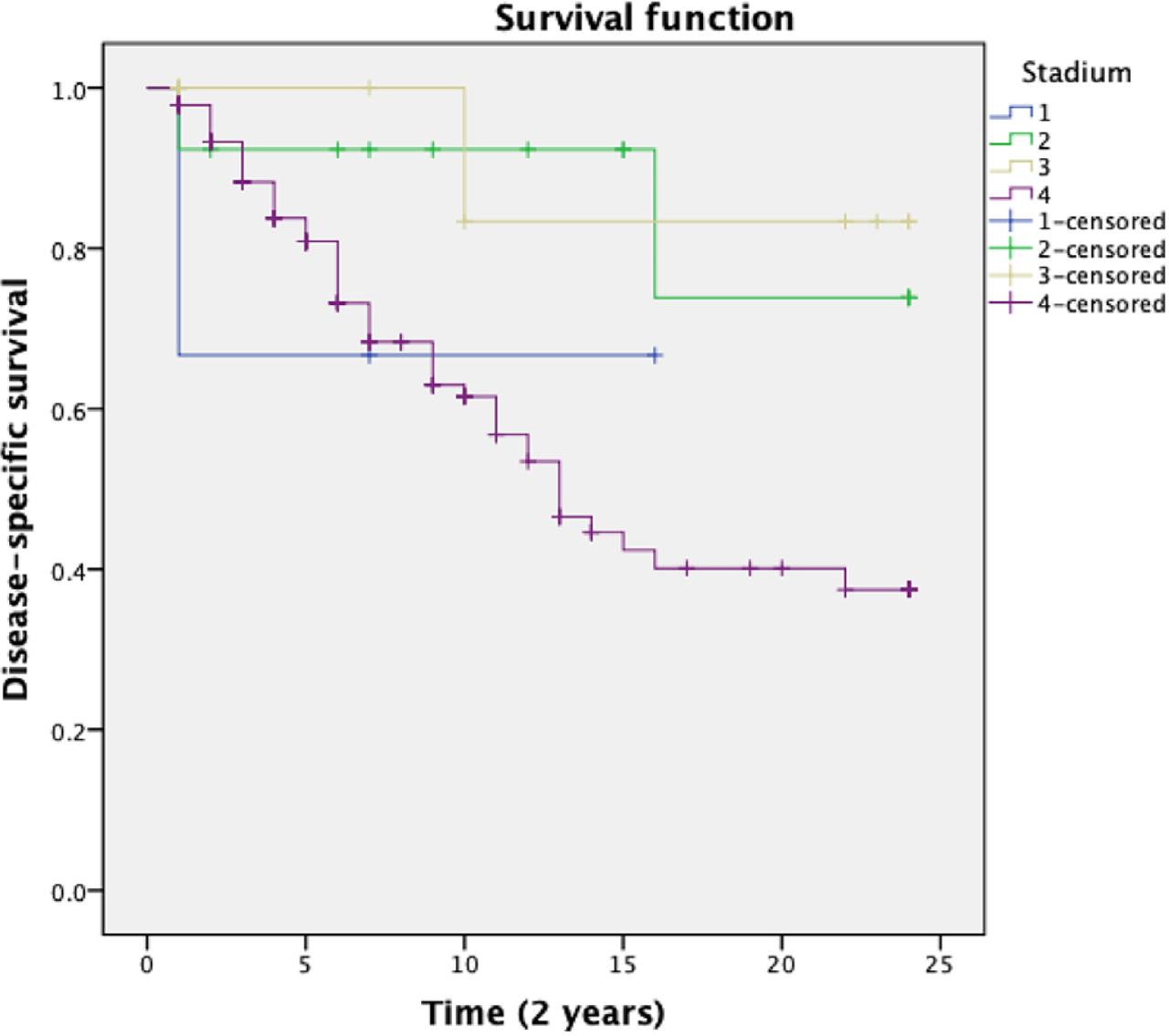 Disease-specific survival based on clinical staging.