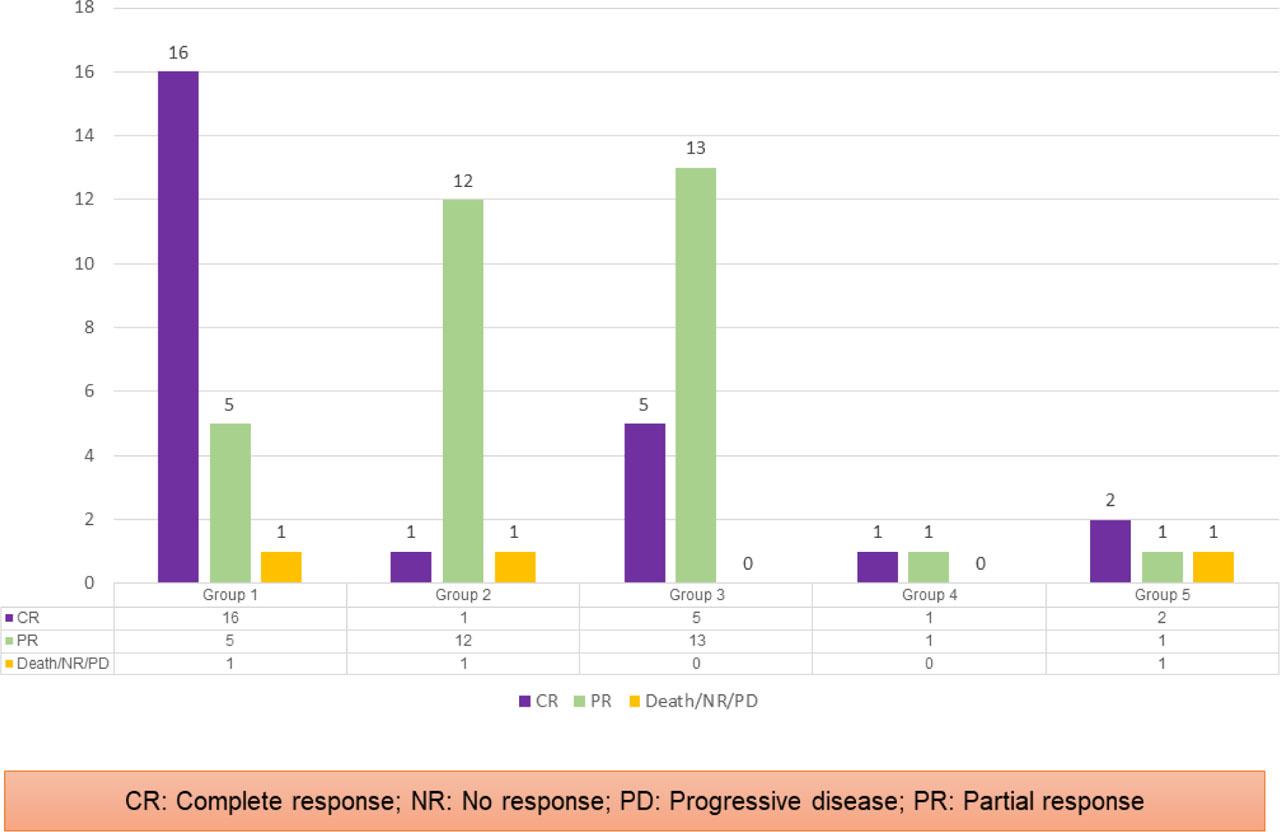 Response rate at 6-month follow-up in head and neck cancer patients.CR: Complete response; NR: No response; PD: Progressive disease; PR: Partial response.