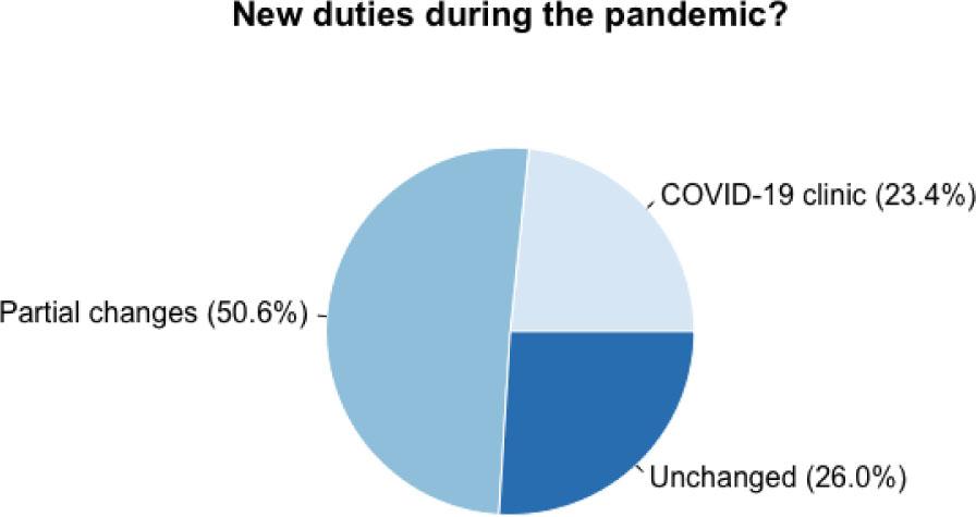 New duties during the pandemic – as reported by the respondents.