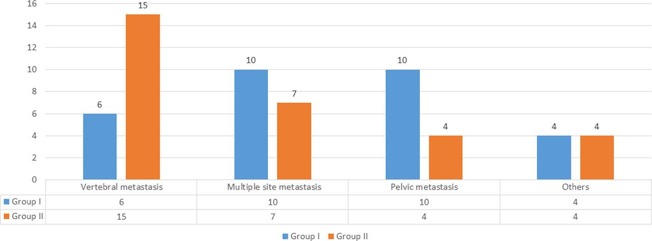 Sites of bone metastasis in both groups.
