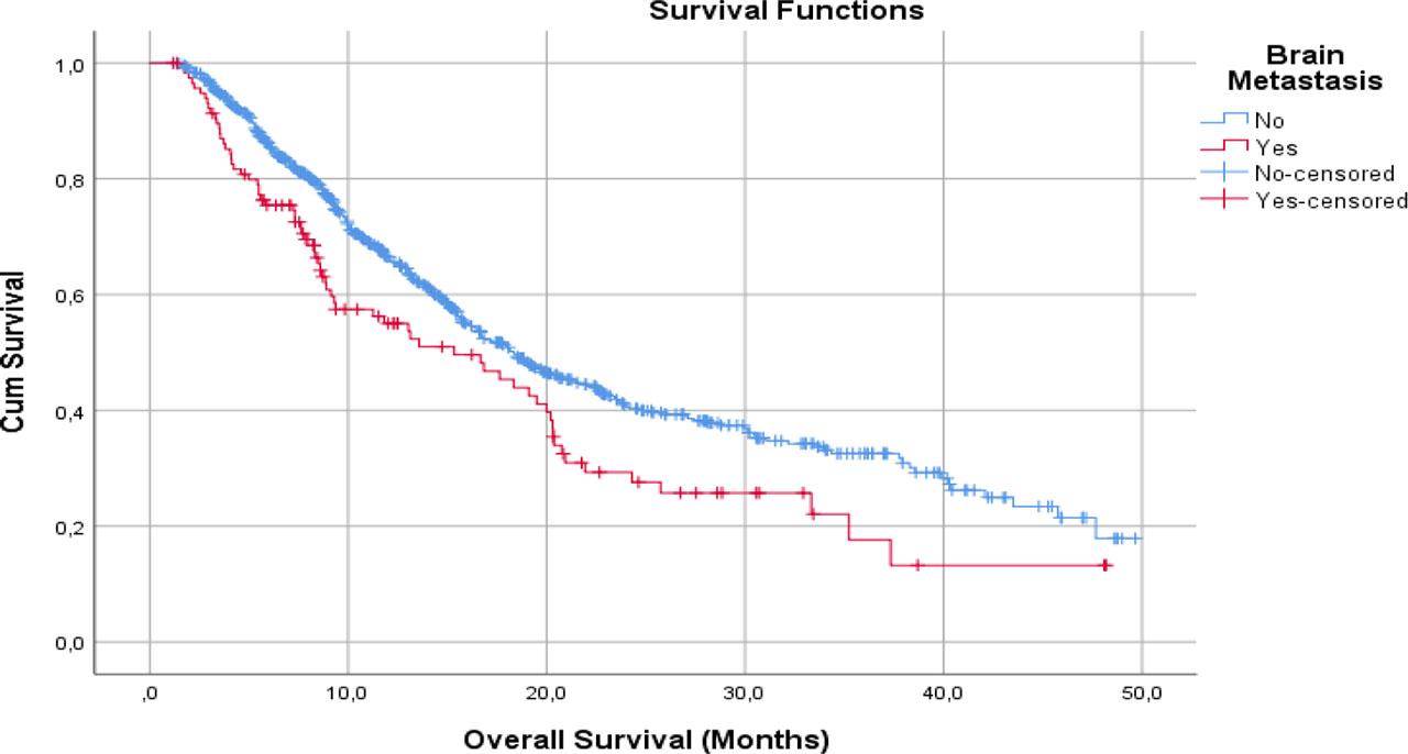 Overall survival time for non-small cell lung cancer patients with and without brain metastases: Kaplan–Meier analysis.