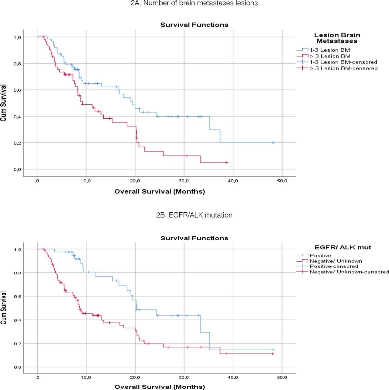 Overall survival time of patients with NSCLC with brain metastases in subgroups: Kaplan–Meier analysis, log-rank test.