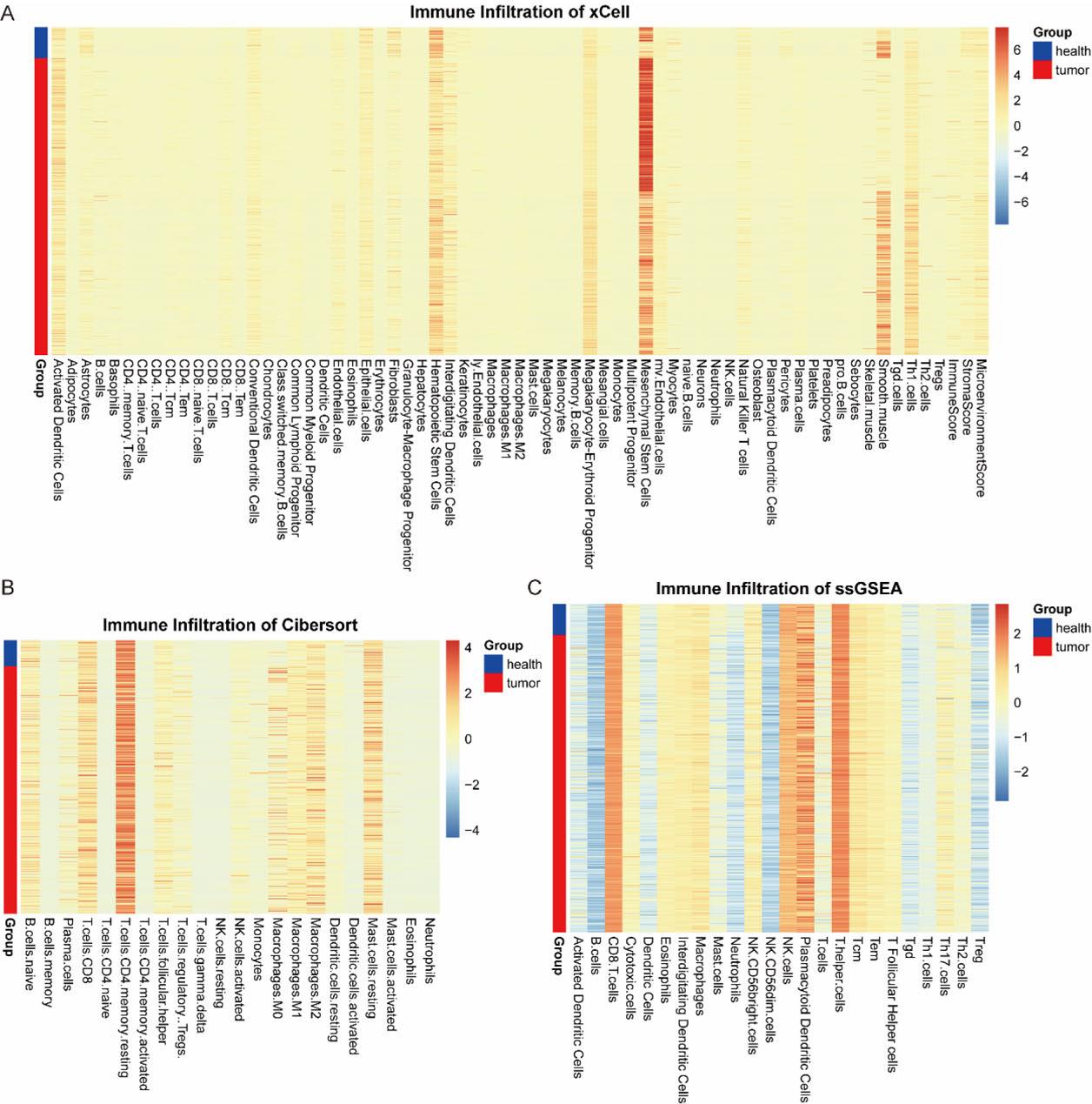 Analysis of immune infiltration of prostate tumor tissues and healthy control tissues. (A) Immune infiltration of xCell. (B) Immune infiltration of CIBERSORT. (C) Immune infiltration of ssGSEA.