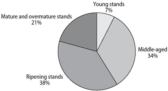 Distribution of pine stands involving beech in composition by age groups