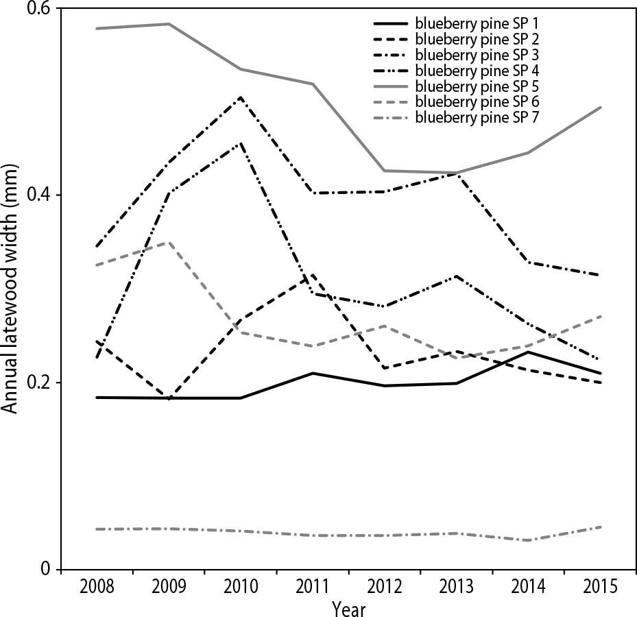 Dynamics of radial growth LW of pine forest for 2008–2015