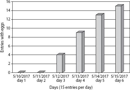 Female maturation period of Ips stebbingi