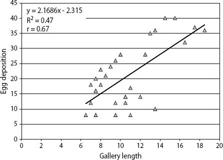 Relationship between the length of maternal galleries (cm) and eggs per gallery in Ips stebbingi