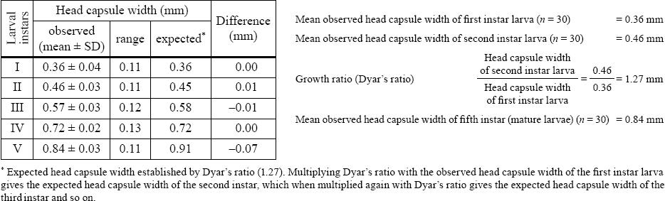 Comparison of observed (mean) and expected values of head capsule widths (mm) of the larvae of Ips stebbingi