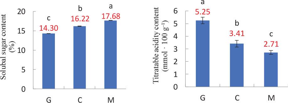 Influence of different developmental stages of fruit on soluble sugars and titratable acidity. Bars with different letters differ significantly (p < 0.05). G, green; C, colour break; M, mature.