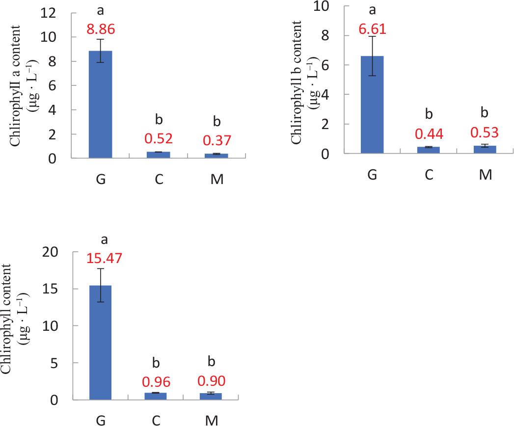 Influence of different developmental stages of fruit on chlorophyll a, chlorophyll b and total chlorophyll. Bars with different letters differ significantly (p < 0.05). G, green; C, colour break; M, mature.