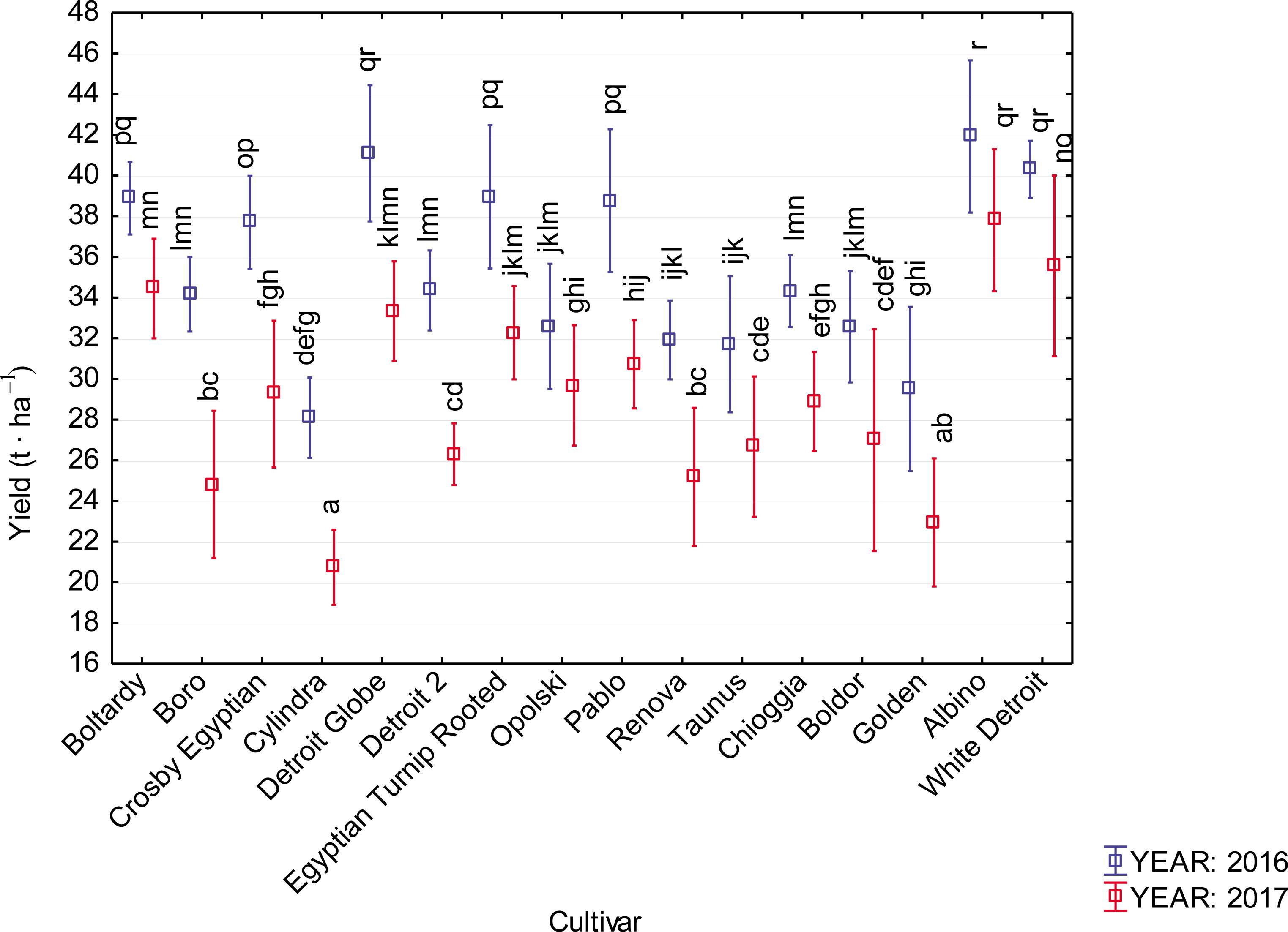 Yield of beetroot by LSD test (error bars represent SD; different letters among cultivars and years show statistically significant differences at the level p < 0.05).