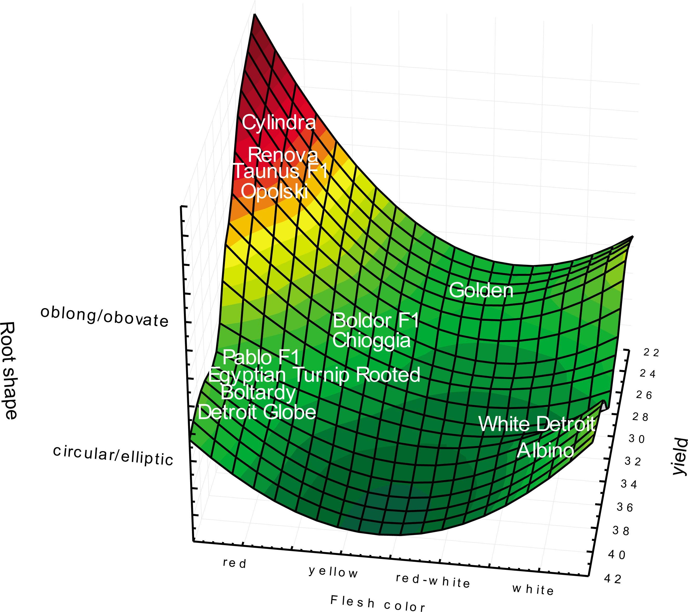3D surface graph with average yields of all cultivars in relation to root shape (with two main shape types) and flesh colour.