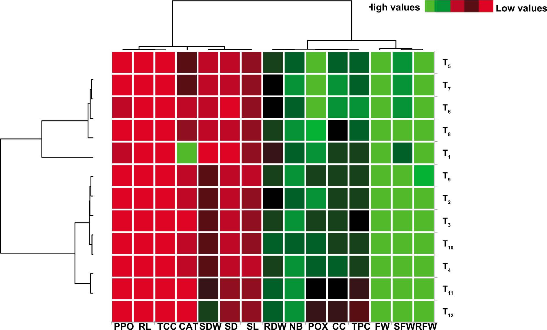 Heat map visualisation of variables and the treatments due to effect of foliar application of SA and Zn on Celosia argentea var. cristata. CAT, catalase; CC, carotenoids; FW, flower weight; NB, number of buds/plant; POX, peroxidase; PPO, polyphenol oxidase; RDW, root dry weight; RFW, root fresh weight; RL, root length; SA, salicylic acid; SD, stem diameter; SDW, shoot dry weight; SFW, shoot fresh weight; SL, shoot length; TCC, total chlorophyll content; TPC, total protein content; Zn, zinc.