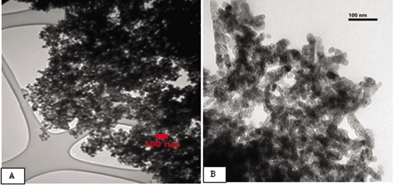 TEM (A) and SEM (B) images of SiO2-NPs.