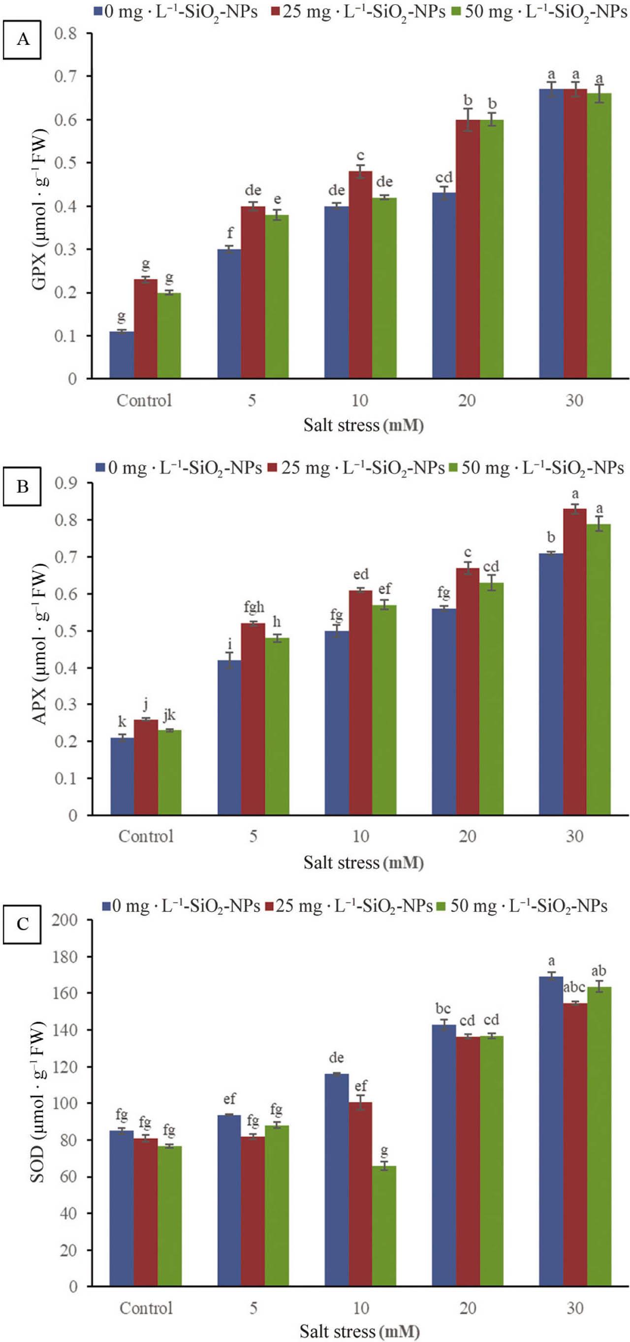 Effect of SiO2-NPs and salt stress on GPX (A), APX (B) and SOD (C) activity in gerbera cv. ‘Teera Kalina’ leaves. APX, ascorbate peroxidase; GPX, guaiacol peroxidase; SOD, superoxide dismutase.