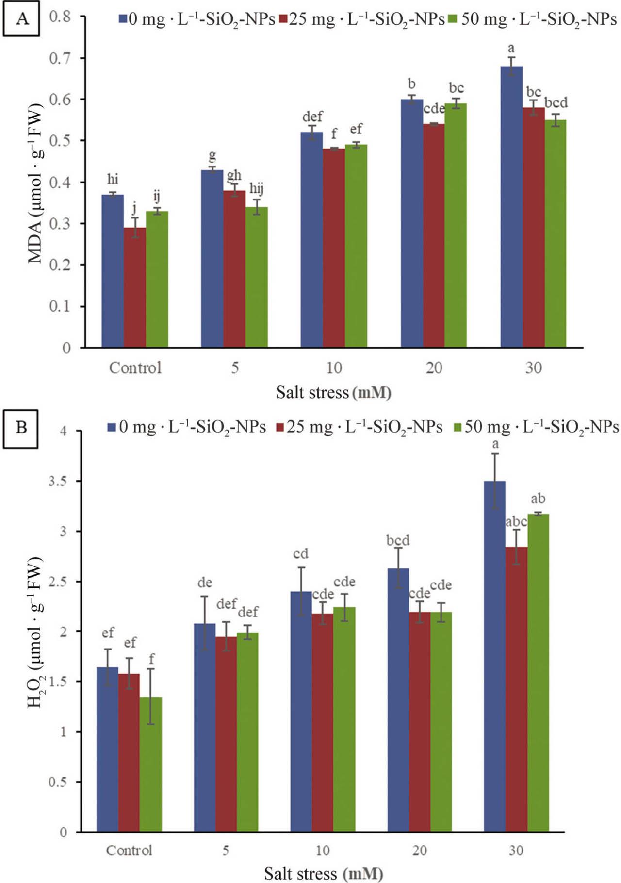 Effect of SiO2-NPs and salt stress on MDA (A) and H2O2 (B) in gerbera cv. ‘Teera Kalina’ leaves. H2O2, hydrogen peroxide; MDA, malondialdehyde.