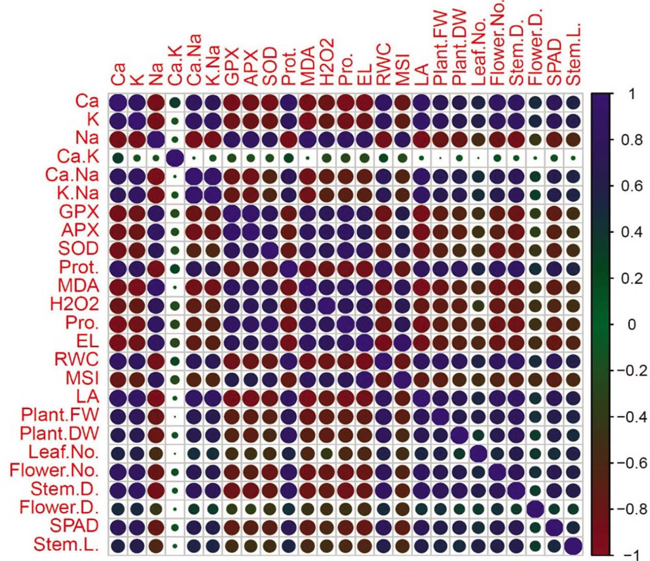 Pearson correlation analysis of SiO2-NPs treatment and variable trait relationship in gerbera plants grown under non-saline and different saline conditions. Heatmap of Pearson correlation coefficient (r) values of variable traits, where the coloured scale indicates the positive (blue) or negative (red) correlation and the ‘r’ coefficient values (r = −1.0 to 1.0). The tested variables included are APX, ascorbate peroxidase; Ca2+, calcium; EL, electrolyte leakage; Flower D., flower diameter; Flower No., flower number; GPX, guaiacol peroxidase; H2O2, hydrogen peroxidase; LA, leaf area; Leaf No., leaf number; MDA, malondialdehyde; MSI, membrane stability index; Plant DW, plant dry weight; Plant FW, plant fresh weight; K+, potassium; Pro, proline; Pro, protein; RWC, relative water content; Na+, sodium; Stem D., stem diameter; Stem L., stem length; SOD, superoxide dismutase.
