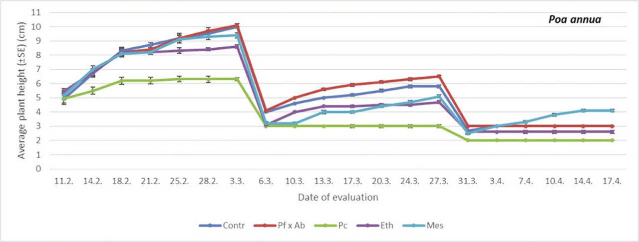 The average plant height on annual bluegrass treated with different PGRs. Within each evaluation date, comparison was done between different treatment (PGRs; Student-Neuman Keuls at p = 0.05). For comparisons within dates, df = 4.24 (11th February, F = 0.62, p = 0.6526; 14th February, F = 7.41, p < 0.05; 18th February, F = 27.76, p < 0.05; 21st February, F = 52.00, p < 0.05; 25th February, F = 110.50, p < 0.05; 28th February, F = 122.37, p < 0.05; 3rd March, F = 84.03, p < 0.05; 6th March, F = 39.57, p < 0.05; 10th March, F = 18.10, p < 0.05; 13th March, F = 16.61, p < 0.05; 17th March, F = 16.10, p < 0.05; 20th March, F = 23.81, p < 0.05; 24th March, F = 4.44, p < 0.05; 27th March, F = 45.97, p < 0.05; 31st March, F = 26.60, p < 0.05; 3rd April, F = 96.00; 7th April, F = 50.40, p < 0.05; 10th April, F = 86.40, p < 0.05; 17th April, F = 65.33, p < 0.05). df, degrees of freedom; Eth, ethephon; F, F-distribution; Mes, mesotrione; Pc, prohexadione calcium; PGRs, plant growth regulators; SE, standard error.