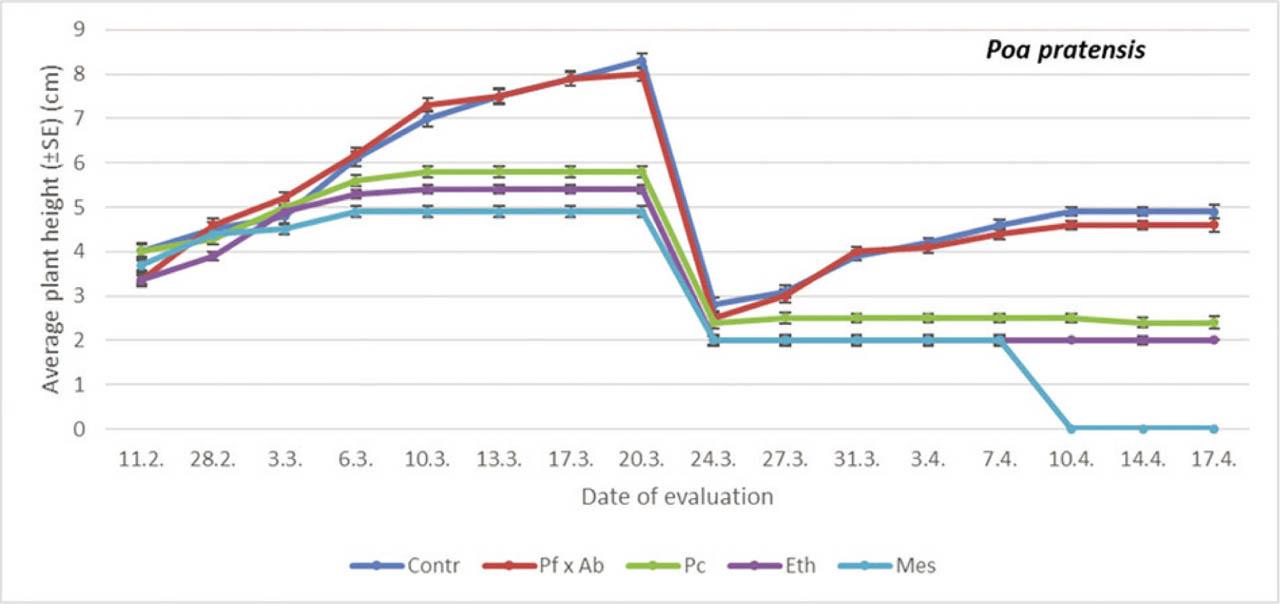 The average plant height on Kentucky bluegrass treated with different PGRs. Within each evaluation date, a comparison was done between different treatments (PGRs; Student-Neuman Keuls at p < 0.05). For comparisons within dates, df = 4.24 (11th February, F = 3.02, p = 0.0626; 28th February, F = 11.26, p = 0.0485; 3rd March, F = 11.97, p < 0.05; 6th March, F = 103.81, p < 0.05; 10th March, F = 151.20, p < 0.05; 13th March, F = 23.30, p < 0.05; 17th March, F = 55.24, p < 0.05; 20th March, F = 32.62, p = 0.0532; 24th March, F = 7.11, p = 0.0814; 27th March, F = 23.26, p = 0.08; 31st March, F = 30.30, p < 0.05; 3rd April, F = 25.11, p < 0.05; 7th April, F = 38.23, p < 0.05; 10th April, F = 30.60, p < 0.05; 14th April, F = 32.00, p < 0.05; 17th April, F = 30.37, p < 0.05). df, degrees of freedom; Eth, ethephon; F, F-distribution; Mes, mesotrione; Pc, prohexadione calcium; PGRs, plant growth regulators; SE, standard error.