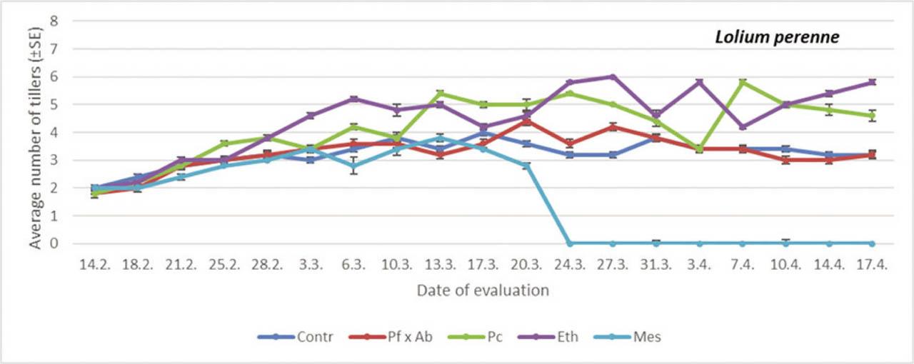 The average number of tillers on perennial ryegrass treated with different PGRs. Within each evaluation date, a comparison was done between different treatments (PGRs; Student-Neuman Keuls at p < 0.05). For comparions within date, df = 4.24 (14th February, F = 0.0723, p < 0.05; 18th February, F = 2.09, p = 0.1200; 21st February, F = 1.55, p = 0.2274; 25th February, F = 12.12, p = 0.2236; 28th February, F = 13.07, P < 0.05; 3rd March, F = 1.10, p < 0.05; 6th March, F = 7.50, p < 0.05; 10th March, F = 10.10, p = 0.0564; 13th March, F = 19.29, p < 0.05; 17th March, F = 3.21, p = 0.0345; 20th March, F = 6.31, p < 0.05; 24th March, F = 4.75, p < 0.05; 27th March, F = 30.30, p < 0.05; 31st March, F = 21.70, p < 0.05; 3rd April, F = 15.08, p < 0.05; 7th April, F = 25.40, p < 0.05; 10th April, F = 61.13, p < 0.05; 14th April, F = 61.13, p < 0.05; 17th April, F = 33.15; p < 0.05). df, degrees of freedom; Eth, ethephon; F, F-distribution; Mes, mesotrione; Pc, prohexadione calcium; PGRs, plant growth regulators; SE, standard error.