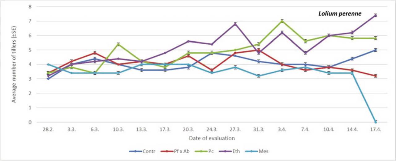 The average number of tiller on perennial ryegrass treated with different PGRs. Within each evaluation date, comparison was done between different treatments (PGRs; Student-Neuman Keuls at p < 0.05). For comparions within date, df = 4.24 (28th February, F = 17.06, p = 0.0936; 3rd March, F = 7.38, p = 0.2005; 6th March, F = 4.56, p < 0.05; 10th March, F = 4.23, p < 0.05; 13th March, F = 22.87, p < 0.05; 17th March, F = 77.33, p < 0.05; 20th March, F = 130.63, p < 0.05; 24th March, F = 70.16, p < 0.05; 27th March, F = 30.11, p < 0.05; 31st March, F = 13.71, p < 0.05; 3rd April, F = 70.11, p < 0.05; 7th April, F = 130.35, p < 0.05; 10th April, F = 17.15, p < 0.05; 17th April, F = 90.11, p < 0.05). df, degrees of freedom; Eth, ethephon; F, F-distribution; Mes, mesotrione; Pc, prohexadione calcium; PGRs, plant growth regulators; SE, standard error.
