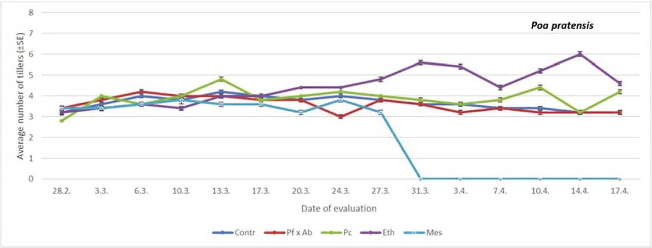 The average number of tillers per plant on Kentucky bluegrass treated with different PGRs. Within each evaluation date, comparison was done between different treatments (PGRs; Student-Neuman Keuls at p < 0.05). For comparions within date, df = 4.24 (28th February, F = 7.03, p = 0.0636; 3rd March, F = 9.33, p = 0.4005; 6th March, F = 9.53, p = 0.5246; 10th March, F = 9.23, p < 0.05; 13th March, F = 22.87, p = 0.0563; 17 th March, F = 7.23, p = 0.0625; 20th March, F = 30.11, p < 0.05; 24th March, F = 70.16, p < 0.05; 27th March, F = 11.11, p < 0.05; 31st March, F = 143.61, p < 0.05; 3rd April, F = 270.11, p < 0.05; 7th April, F = 136.31, p < 0.05; 10th April, F = 141.15, p < 0.05; 17th April, F = 90.11, p < 0.05). df, degrees of freedom; Eth, ethephon; F, F-distribution; Mes, mesotrione; Pc, prohexadione calcium; PGRs, plant growth regulators; SE, standard error.