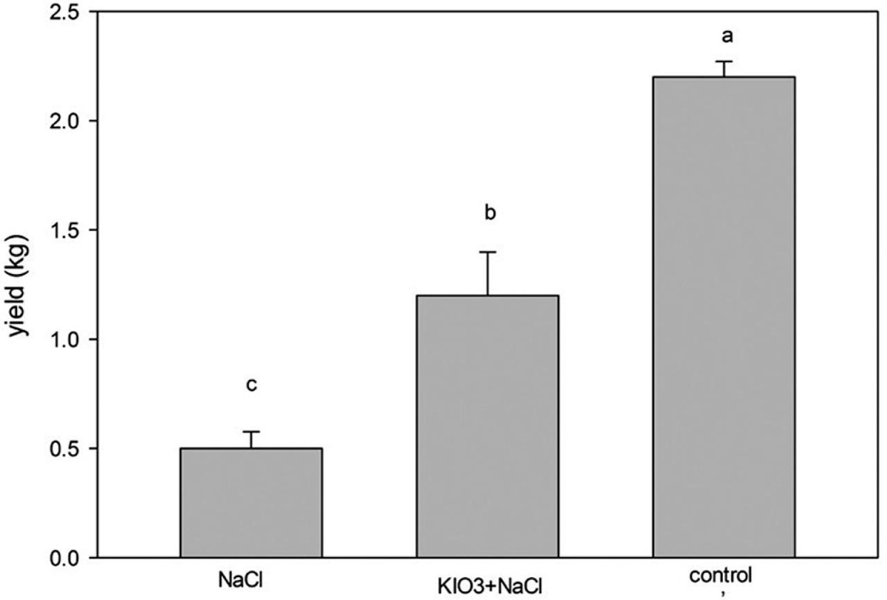 Effects of iodine application in total tomato yield expressed in kg F.W.; treatments control, salt control (NaCl) and KIO3. Means with same letters do not show statistically significant differences, p ≤ 0.05, vertical bars represent standard deviations. KIO3, potassium iodate.