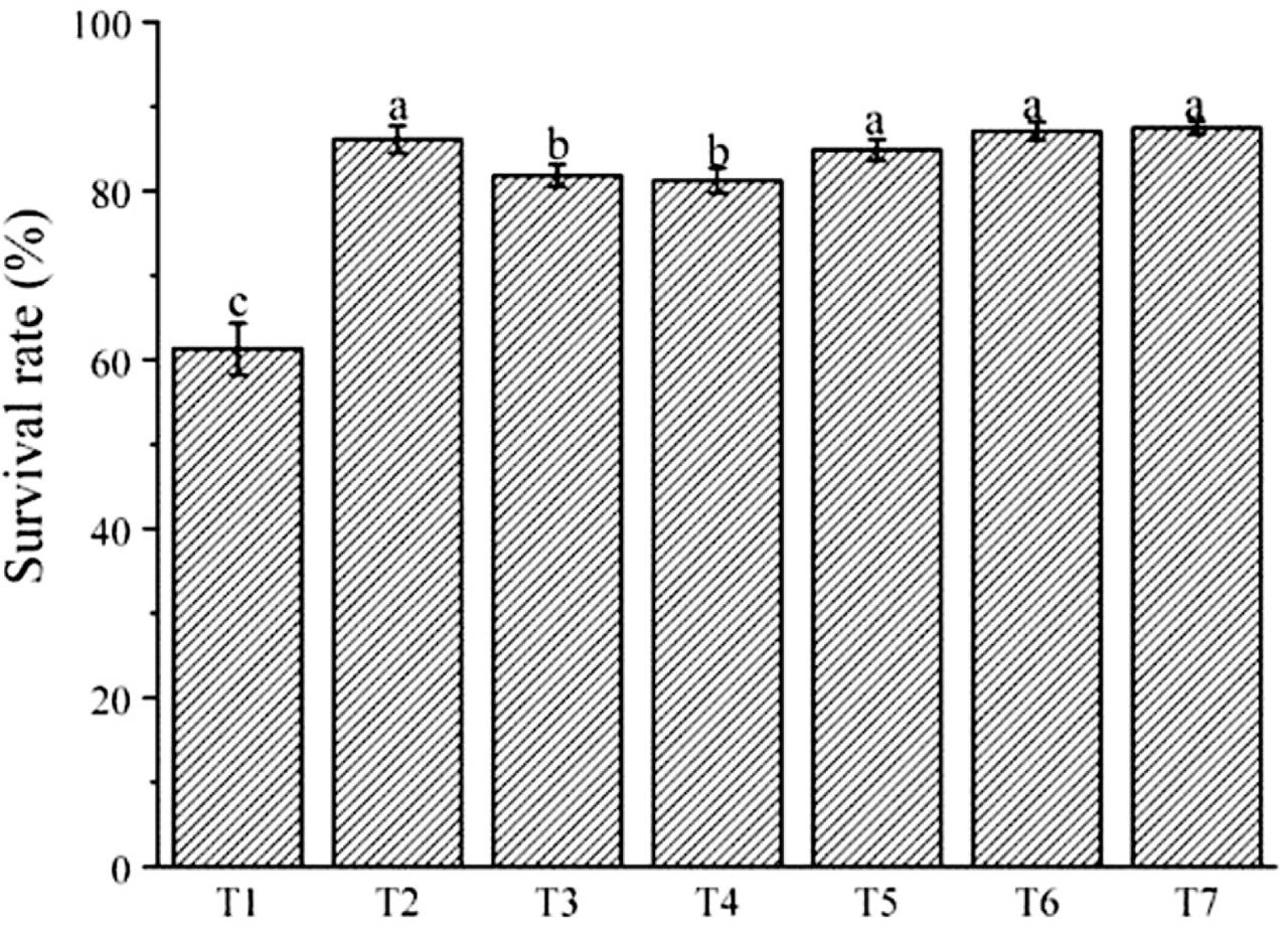 The effect of different combinations of substrates on the survival rate of A. cochinchinensis plantlets. Different lowercase letters indicate significant differences between treatments (p < 0.05). Error bars represent SD and data in the graphs are the means ± SD. T1: garden soil 100%; T2: garden soil:perlite:coconut bran = 20%:40%:40%; T3: garden soil:coconut bran:vermiculite = 20%:40%:40%; T4: garden soil:vermiculite:peat = 20%:40%:40%; T5: garden soil:perlite:peat = 20%:40%:40%; T6: perlite:coconut bran:vermiculite = 33.33%:33.33%:33.33%; T7: perlite:vermiculite:peat = 33.33%:33.33%:33.33%. SD, standard deviation.