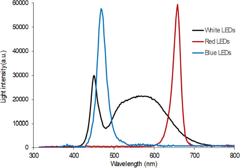 The spectral characteristics of three LED illumination systems applied in the study (measured spectrophotometer SpectraPen mini, Photon Systems Instruments, Czech Republic). LEDs, light-emitting diodes.