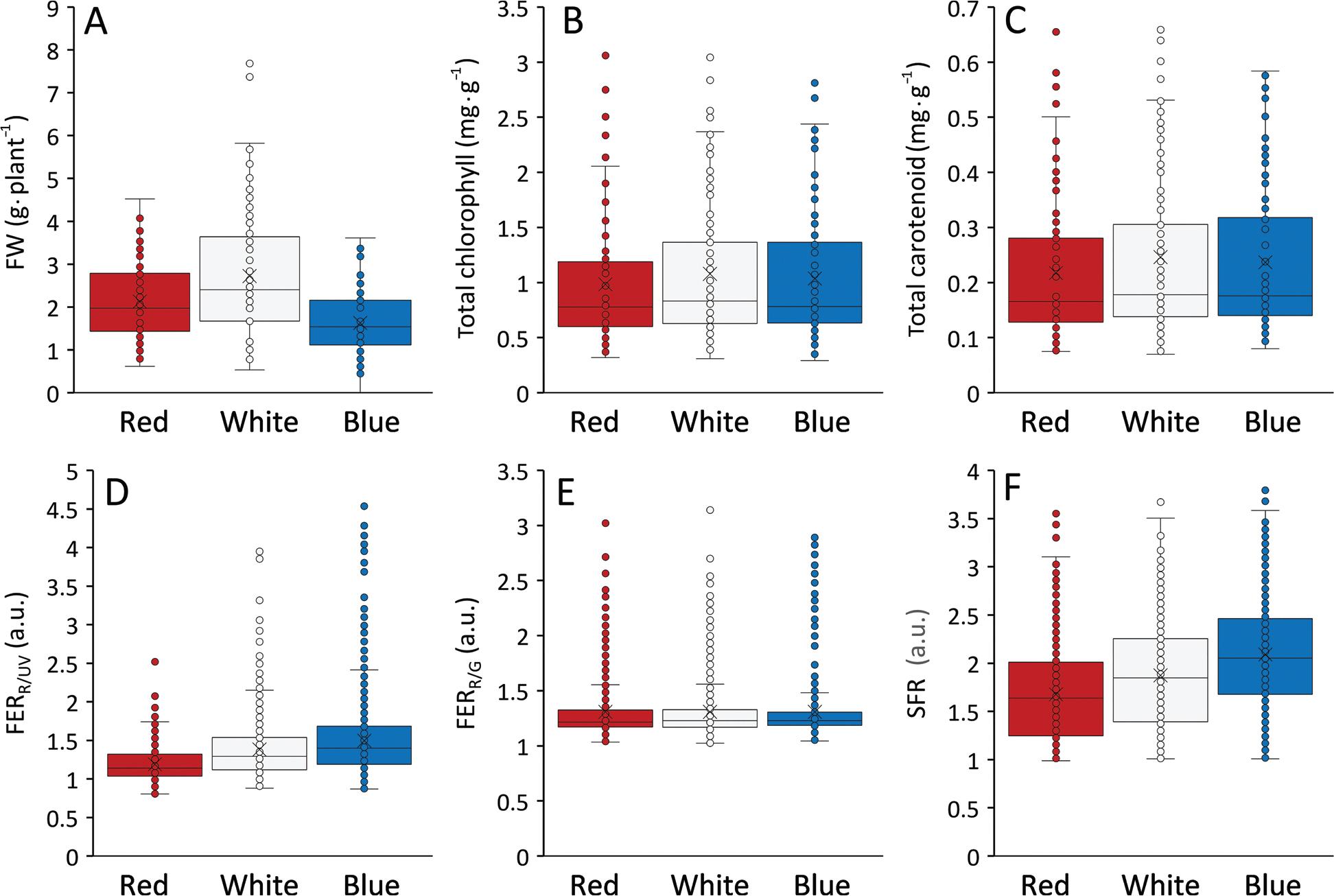 Effect of applied light spectra on the values of the parameters assessed in the experiment in all species and genotypes examined: (A) fresh weight (FW) of individual plants; (B) total chlorophyll content in leaves; (C) total carotenoid contents in leaves; (D) fluorescence excitation ratio R/UV (FERR/UV) related to flavonoid content; (E) fluorescence excitation ratio R/G (FERR/G) related to anthocyanin content; (F) simple fluorescence ratio (SFR). The point (x) represents the mean value, the line represents the median and the box margins correspond to quartiles. The points show the overall distribution of the values.