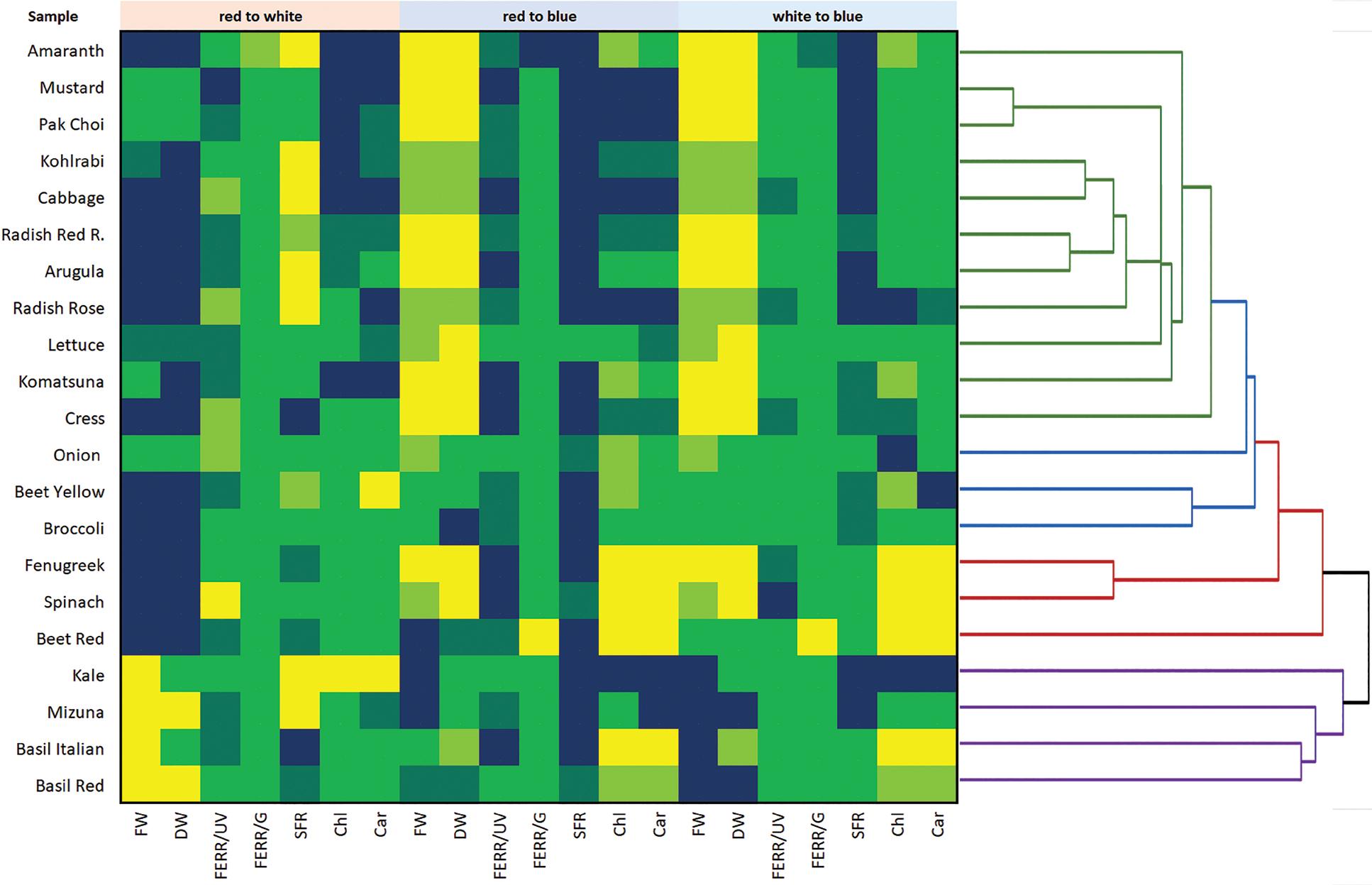 Heat map representing the changes in parameters in mutual comparison (‘red compared to white’, ‘red compared to blue’ or ‘white compared to blue’) of parameters in plants of different species and genotypes grown in red, white and blue LED illumination. Dark blue colour represents a positive difference of more than 20%, dark green of 10%–20%; pale green colour represents similar values (difference less than 10%); yellow–green colour represents a negative difference (decrease) by 10%–20%, and yellow colour indicates a negative difference (decrease) by more than 20% or more for each mutual comparison. The hierarchical clustering of evaluated genotypes is based on relative changes in the values of all parameters assessed in the study. The dendrogram indicates the clusters in which the samples showed similar responses to different LED light spectra. LED, light-emitting diode.