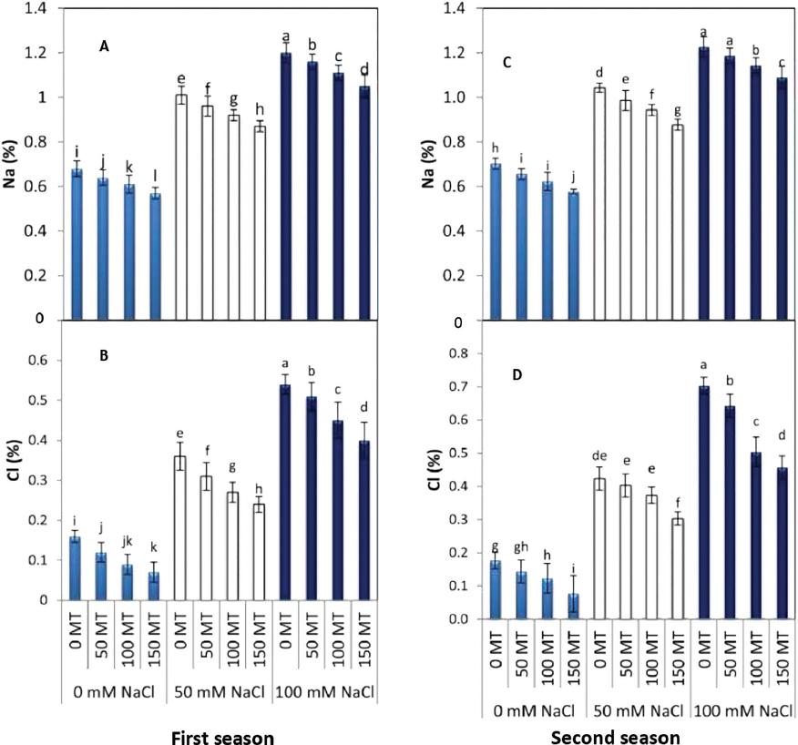 Effect of spraying MT on Na+ (A), and Cl- (B) in the first season Na+ (C), and Cl- (D) in the second season of lettuce plants under NaCl stress. Diverse letters refer to significant variation according to Duncan test. MT, melatonin.
