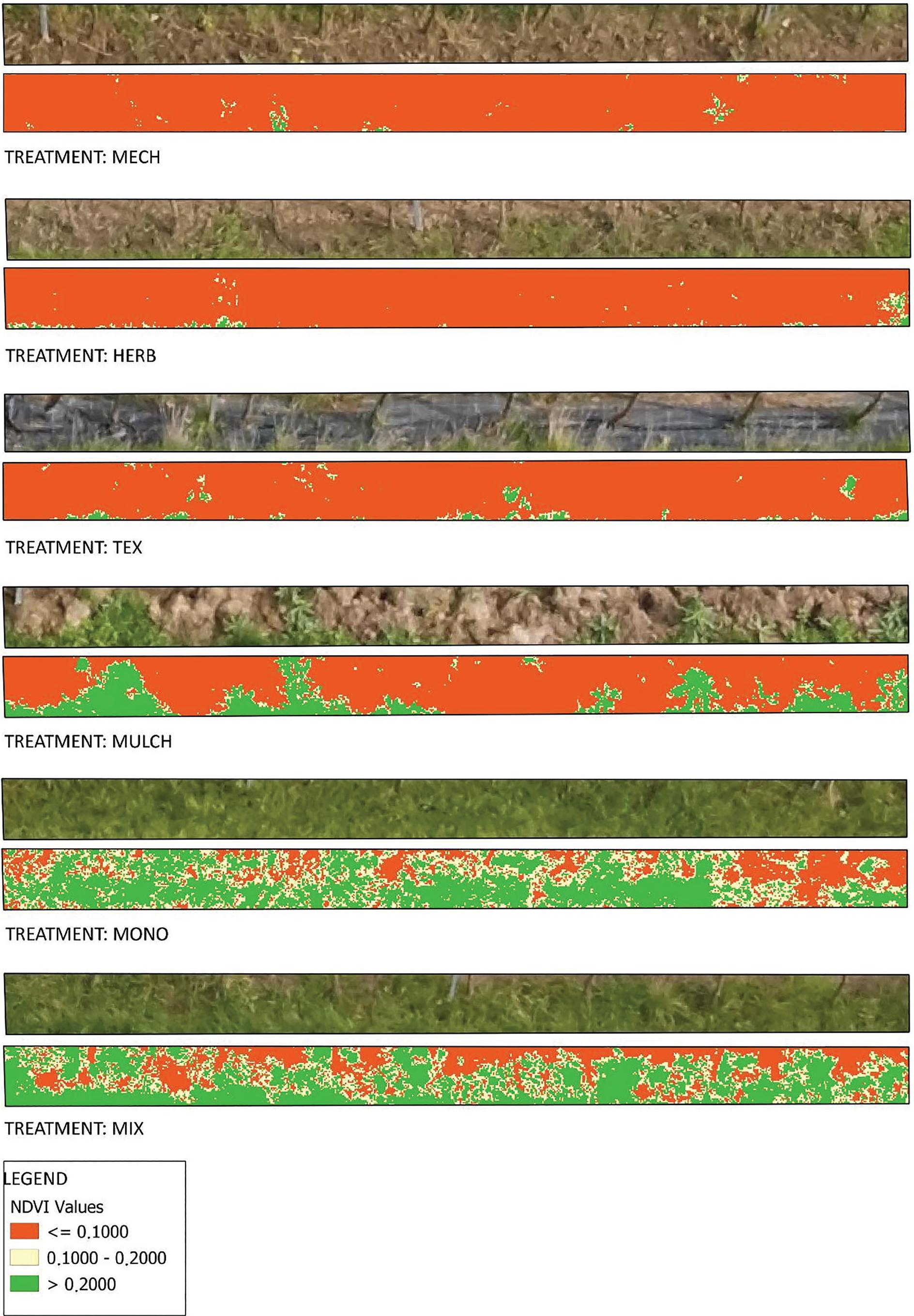Graphical evaluation of NDVI in different treatments. NDVI, normalized difference vegetation index.