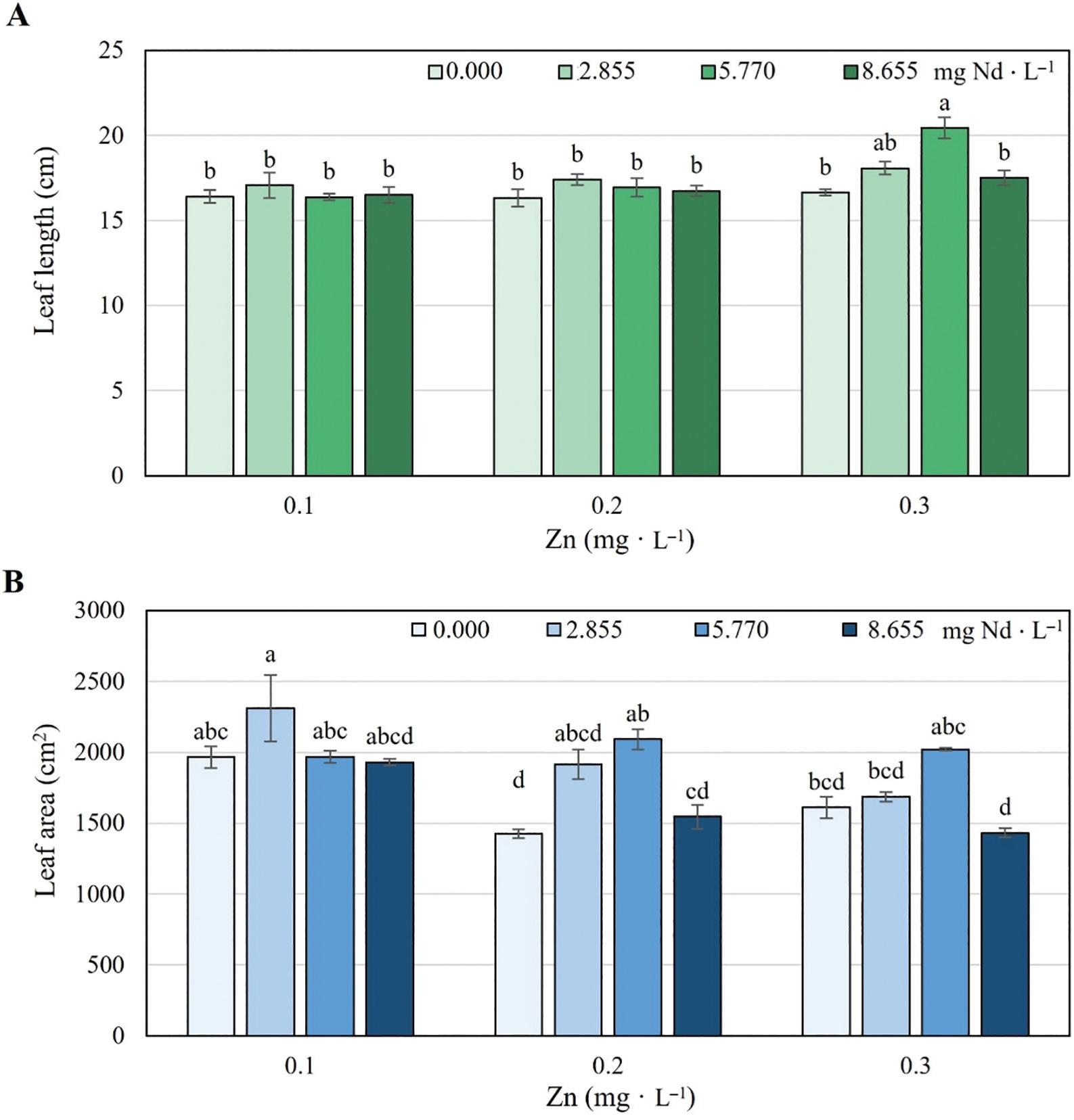Leaf length (A) and leaf area (B) of lettuce (Lactuca sativa) cv. ‘Ruby Sky’ plants treated for 48 days with different concentrations of Nd (0.000, 2.885, 5.770 and 8.655 mg · L−1) and Zn (0.1, 0.2 and 0.3 mg · L−1). Bars ± SD (standard deviation) with different letters in each subfigure indicate significant statistical differences (Tukey, p ≤ 0.05).