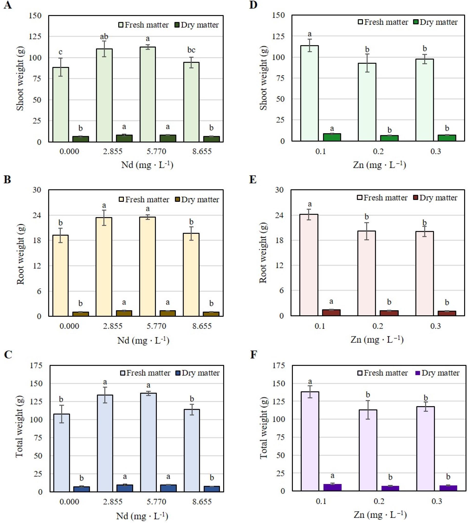Fresh and dry biomass of stem (A and D), root (B and E), and total (C and F) of lettuce (Lactuca sativa) cv. ‘Ruby Sky’ plants treated for 48 days with different concentrations of Nd (0.000, 2.885, 5.770 and 8.655 mg · L−1) and Zn (0.1, 0.2 and 0.3 mg · L−1). Bars ± SD (standard deviation) with different letters in each subfigure indicate significant statistical differences (Tukey, p ≤ 0.05).