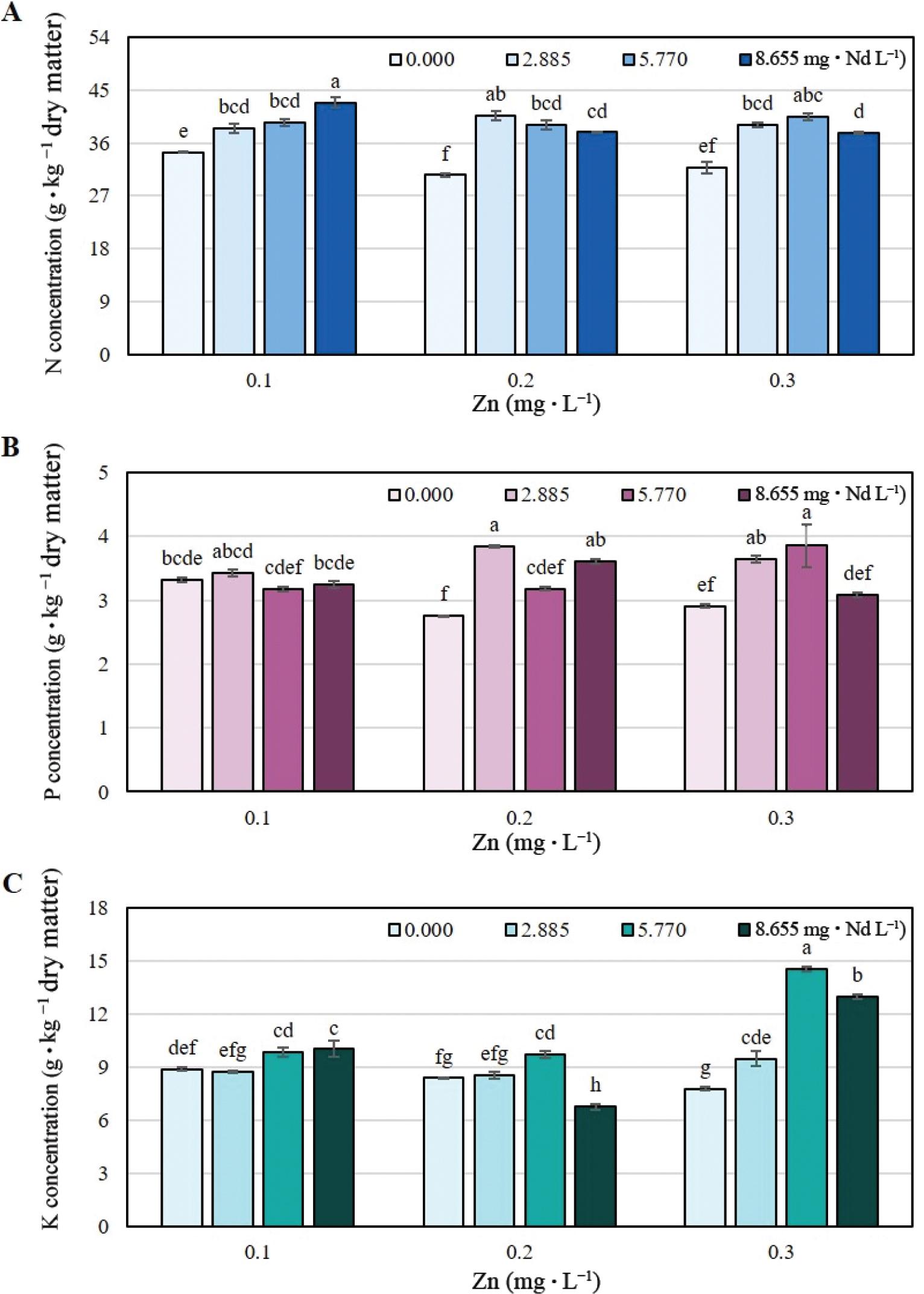 Foliar concentration of nitrogen (A), phosphorus (B) and potassium (C) in lettuce (Lactuca sativa) cv. ‘Ruby Sky’ plants treated for 48 days with different concentrations of Nd (0.000, 2.885, 5.770 and 8.655 mg · L−1) and Zn (0.1, 0.2 and 0.3 mg · L−1). Bars ± SD (standard deviation) with different letters in each subfigure indicate significant statistical differences (Tukey, p ≤ 0.05).