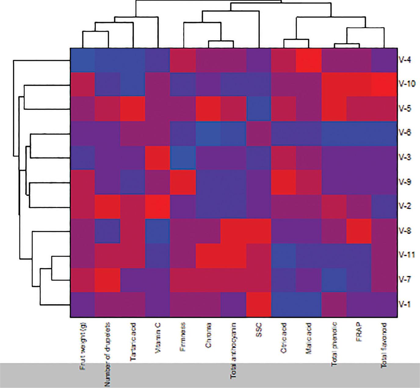 Hierarchical clustering analysis. Dendrogram associated with heat map of physiological and biochemical characteristics from fruit samples of red raspberry genotypes. f.w., fresh weight; FRAP, Ferric Reducing Antioxidant Power; SSC, soluble solid content.