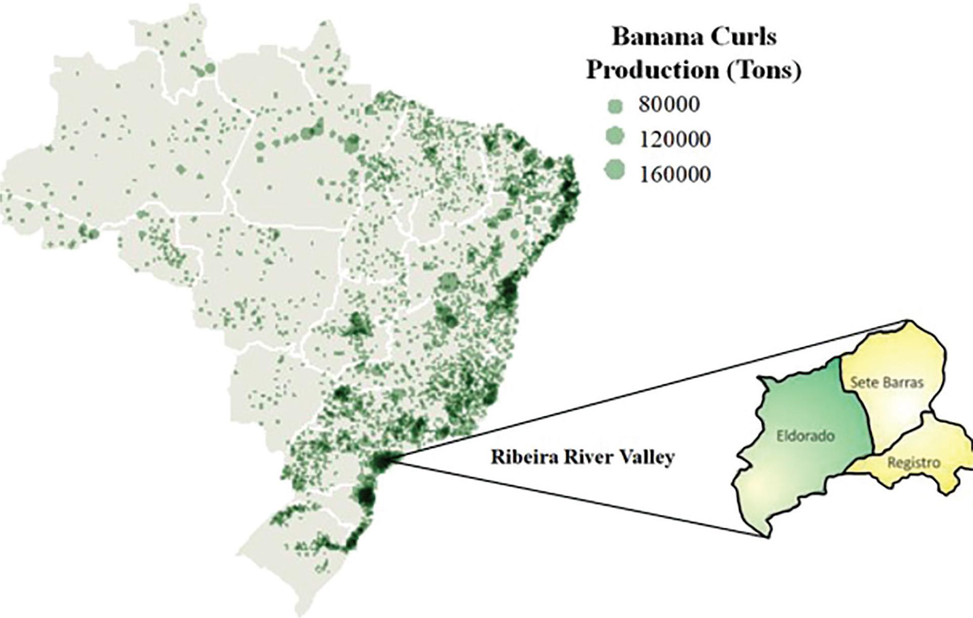 Brazilian banana curls production and study sites in Ribeira River Valley, São Paulo state. Adapted from Almeida and Zanlorenssi (2018) and https://www.ovaledoribeira.com.br/2012/01/mapa-do-vale-do-ribeira-pelo-google.html.