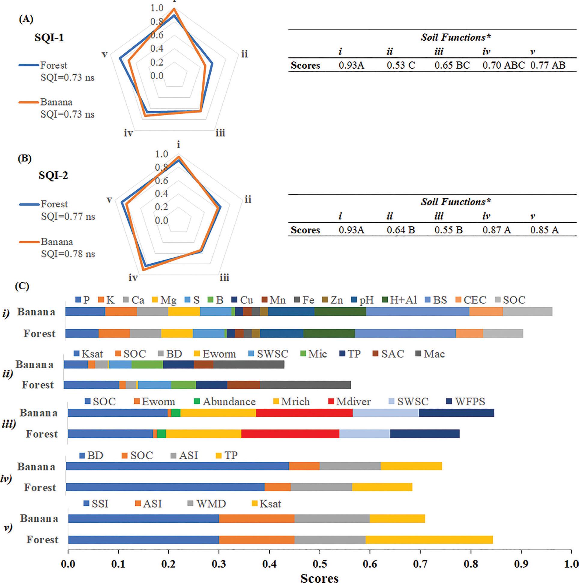 Mean values of the Forest and Banana systems for SQIs, considering the TDS, non-linearly interpreted, with integration weighted and additive, respectively, for SQI-1 (A) and SQI-2 (B) and contribution of soil functions in each one. Contribution of the soil indicators§ in the respective score functions (C) non-linear. ns: non-significant; *non-significant interaction; simple effects evaluated; **significant interaction; means followed by the same uppercase letter between functions and lowercase between systems do not differ by Tukey’s test (p < 0.05); i–availability and nutrient cycling; ii–availability of water and soil aeration; iii–support to biological activity; iv-sustaining plant growth; v–ability to resist degradation. ASI, aggregate stability index; BD, bulk density; BS, base saturation; CEC, electrical conductivity; SOC, soil organic carbon; SQIs, soil quality indexes, SSI, structural quality index; SWSC, soil water storage capacity; TDS, total dataset; TP, total porosity; WFPS, water filled pore space; WMD, weighted mean diameter. §Abbreviations are the same as in Table 3.