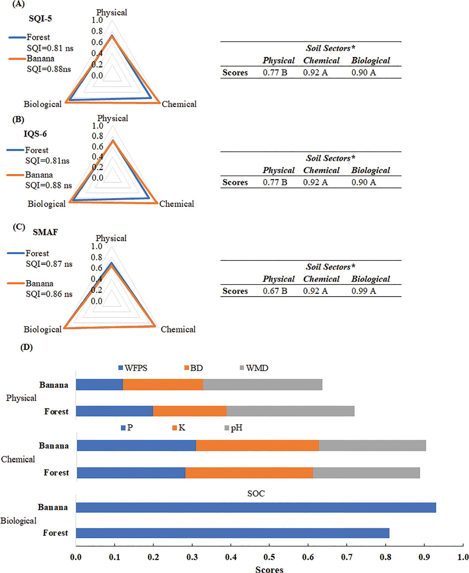 Mean values of the Forest and Banana systems for SQIs, considering the MDS, non-linearly interpreted, with integration weighted, additive and additive, respectively, for SQI-5 (A) and SQI-6 (B) and SMAF (C) and contribution of soil sectors in each one. Contribution of the soil indicators§ in the respective score sector (D). ns: non-significant; *non-significant interaction; simple effects evaluated; **significant interaction; means followed by the same uppercase letter between functions and lowercase between systems do not differ by Tukey’s test (p < 0.05). BD, bulk density; MDS, minimum dataset; SOC, soil organic carbon; SMAF, Soil management assessment framework; SQIs, soil quality indexes; WFPS, water filled pore space; WMD, weighted mean diameter.
§The full description of the indicators can be found in Table 3.