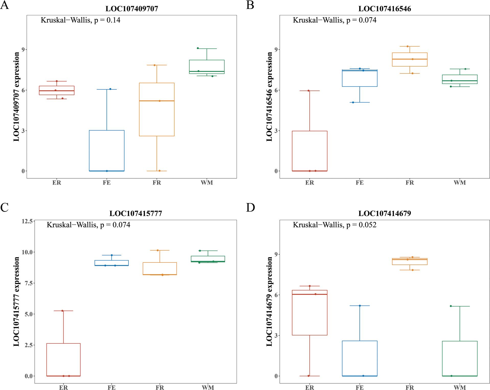 Differential expression boxplot of the four hub genes. (A), LOC107409707; (B), LOC107416546; (C), LOC107415777; (D), LOC107414679.