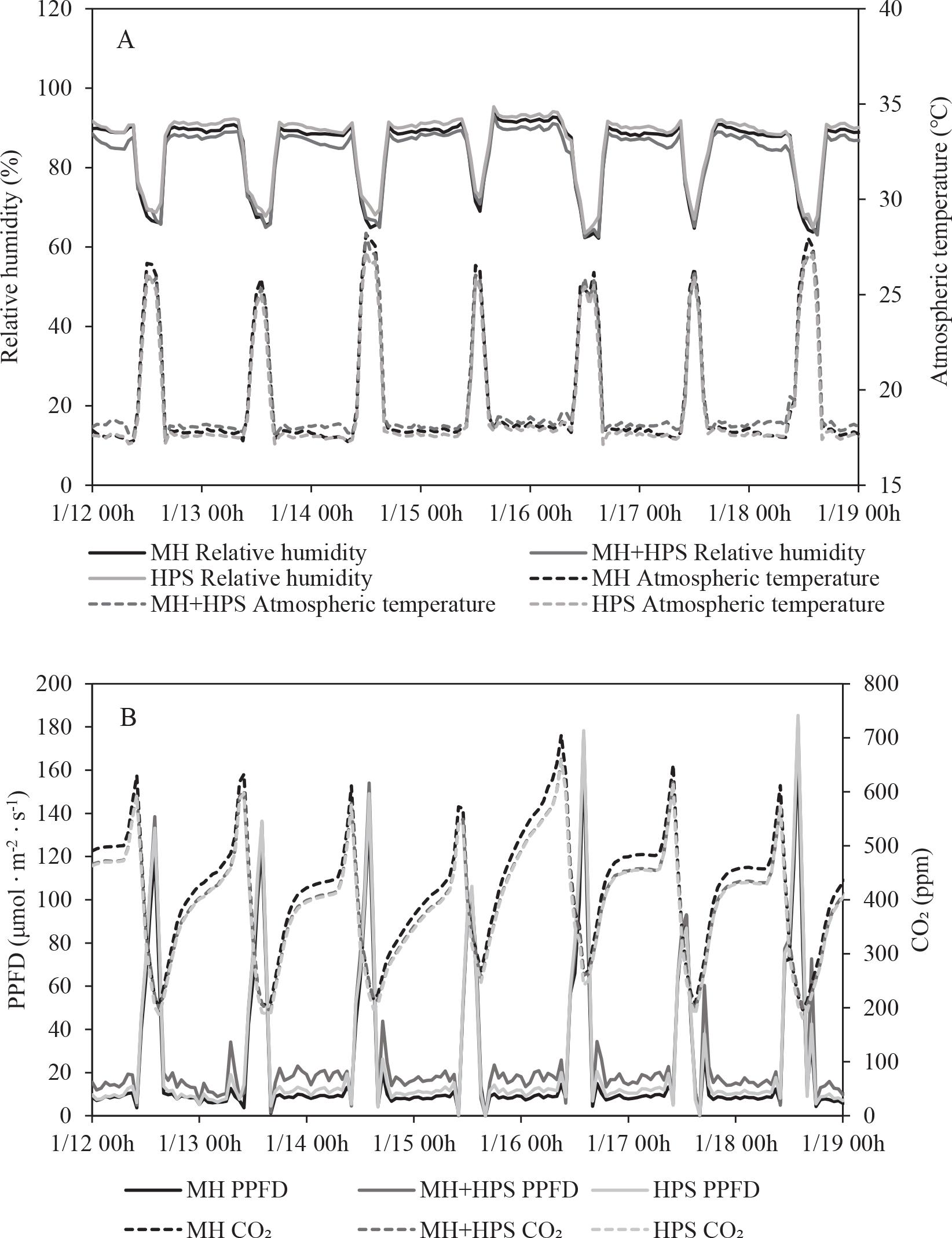 Monitoring of the environmental conditions for rose cultivation: (A) relative humidity and atmospheric temperature and (B) PPFD and atmospheric CO2 under different supplementary lights. HPS, high-pressure sodium lamps; MH, metal-halide lamps; MH + HPS, metal-halide+high-pressure sodium lamps; PPFD, photosynthetic photon flux density.