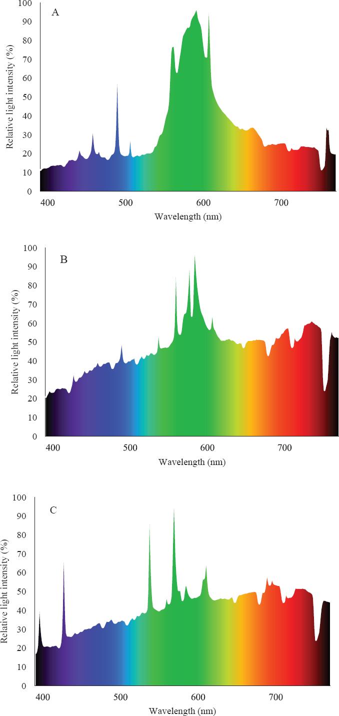 Light spectra for roses cultivated under different supplementary lights in greenhouse: (A) HPS spectra; (B) MH + HPS spectra and (C) MH spectra. HPS, high-pressure sodium; MH, metal-halide; MH + HPS: metal-halide + high-pressure sodium lamps.